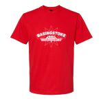Softstyle™ midweight adult t-shirt Thumbnail